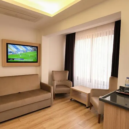 酒店 Alesta Seaside 费特希耶